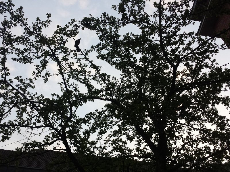 2015-04-24 20.20.59.jpg